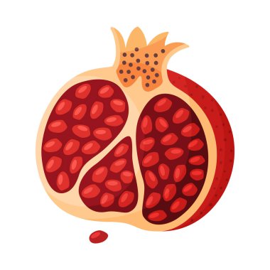 Taze kırmızı nar, yarım meyve. Çiğ yiyecek El, modaya uygun düz stil izole ikon çizdi. Olgun nar meyvesi, Punica granatum. Vektör illüstrasyonu