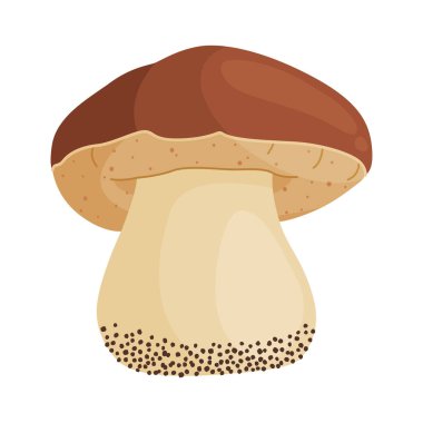 Porcini mantarı. Yenilebilir orman mantarı El, izole edilmiş moda düz stil ikonu çizdi. Taze boletus. Sonbahar mantarı. Peni, çörek, porcino. Botanik Vektör illüstrasyonu 