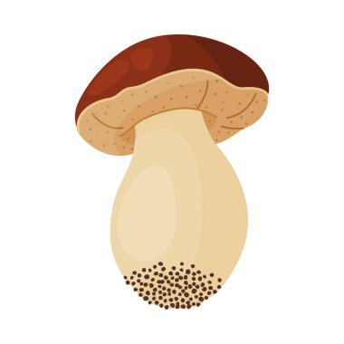 Porcini mantarı. Yenilebilir orman mantarı El, izole edilmiş moda düz stil ikonu çizdi. Taze boletus. Sonbahar mantarı. Peni, çörek, porcino. Botanik Vektör illüstrasyonu 