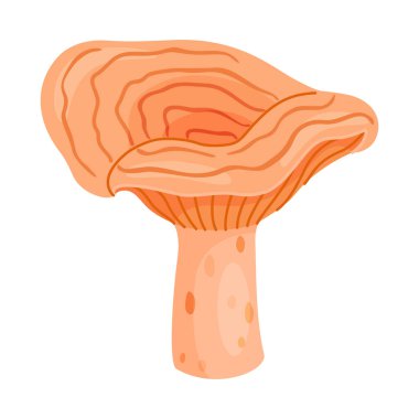 Safran sütü kapağı yenilebilir orman mantar ikonu. El yapımı modaya uygun düz stil lezzetli süt şapkası. Laktarius deliciosus mantar grubu oyulmuş. Vektör illüstrasyonu izole edildi