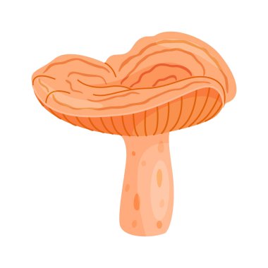 Safran sütü kapağı yenilebilir orman mantar ikonu. El yapımı modaya uygun düz stil lezzetli süt şapkası. Laktarius deliciosus mantar grubu oyulmuş. Vektör illüstrasyonu izole edildi