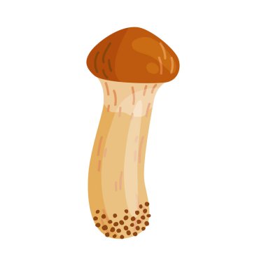 Küçük Suillus luteus, sarı mantar. Yenilebilir orman mantarı kaygan kriko ya da yapışkan çörek. Suillus mantarı ya da sarı domuz eli düz stil izole edilmiş moda bir ikon çizdi. Vektör illüstrasyonu