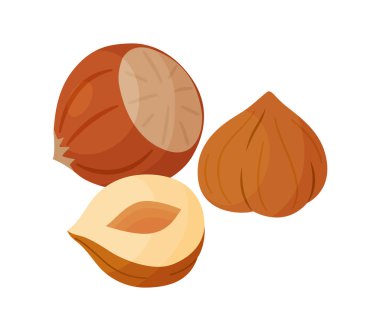 Fındıklar olgun ve lezzetli. Yarım ve bütün fındık kabuklu ve kabuksuz. El çizimi moda düz stil izole ikon. Sağlıklı ikram, atıştırmalık, soyulmuş ve soyulmamış orman cevizleri. Vektör illüstrasyonu