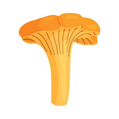Taze Chanterelle mantarı El, izole edilmiş moda düz stil ikonu çizdi. Yenilebilir mantar chanterelle, sarı mantar. Vektör illüstrasyonu