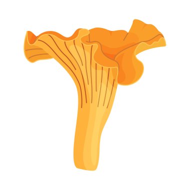 Taze Chanterelle mantarı El, izole edilmiş moda düz stil ikonu çizdi. Yenilebilir mantar chanterelle, sarı mantar. Vektör illüstrasyonu