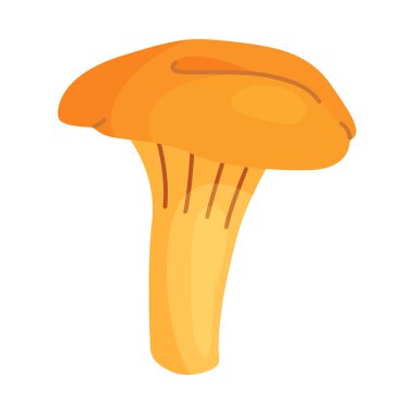 Taze Chanterelle mantarı El, izole edilmiş moda düz stil ikonu çizdi. Yenilebilir mantar chanterelle, sarı mantar. Vektör illüstrasyonu