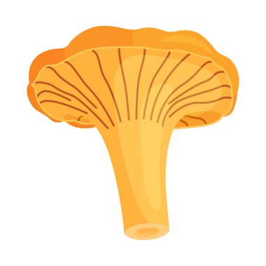Taze Chanterelle mantarı El, izole edilmiş moda düz stil ikonu çizdi. Yenilebilir mantar chanterelle, sarı mantar. Vektör illüstrasyonu