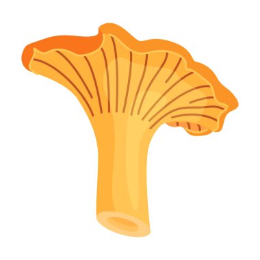 Taze Chanterelle mantarı El, izole edilmiş moda düz stil ikonu çizdi. Yenilebilir mantar chanterelle, sarı mantar. Vektör illüstrasyonu