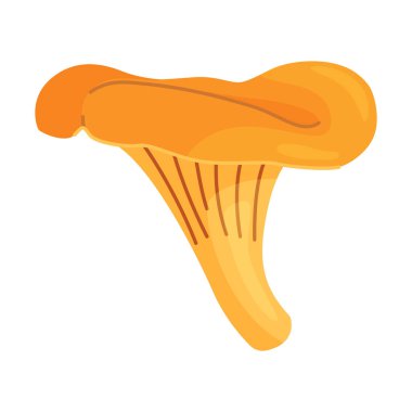 Taze Chanterelle mantarı El, izole edilmiş moda düz stil ikonu çizdi. Yenilebilir mantar chanterelle, sarı mantar. Vektör illüstrasyonu