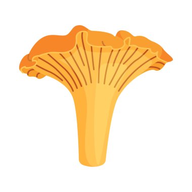 Taze Chanterelle mantarı El, izole edilmiş moda düz stil ikonu çizdi. Yenilebilir mantar chanterelle, sarı mantar. Vektör illüstrasyonu