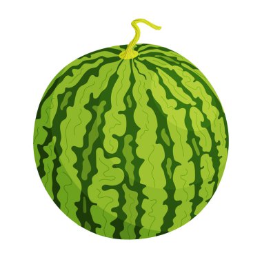 Taze yeşil vektör karpuz. Karikatür olgun karpuz. El çizimi moda düz stil izole meyve organik doğal tatlı, sağlıklı tatlı kırmızı sulu yaz meyve illüstrasyonu