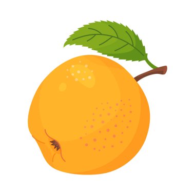 Yapraklı sarı olgun elma, taze meyve. Elle çizilmiş yemek tırnağı. Yeşil yapraklı tam meyve, şeffaf arka planda yalıtılmış düz stil. Vektör illüstrasyonu