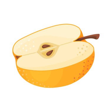 Sarı olgun yarım elma, taze bahçe meyvesi. Elle çizilmiş yemek tırnağı. Yarısı, bir dilim taze elma meyvesi şeffaf arka planda izole edilmiş düz stil. Altın Lezzetli Vektör illüstrasyonu