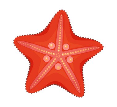 Kırmızı denizyıldızı ikonu. Deniz yıldızı El, düz stil deniz yıldızı ikonu çizdi. Echinoderm Sualtı Deniz Hayvanı. Web tasarımı için Yaz Vektörü illüstrasyonu, tebrik kartı, poster dövmesi
