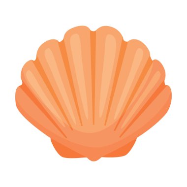 Deniz kabuğu kabuğu. El çizimi modaya uygun düz stil, şeffaf bir deniz kabuğu üzerinde izole edilmiş bir simge. Vektör illüstrasyonu