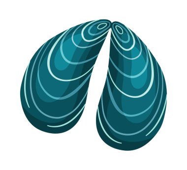 Midye kabuğu. El çizimi modaya uygun düz stil, şeffaf bir deniz kabuğu üzerinde izole edilmiş bir simge. Restoran menüsü için midye kabuğu, tanıtım posteri veya afiş illüstrasyonu 