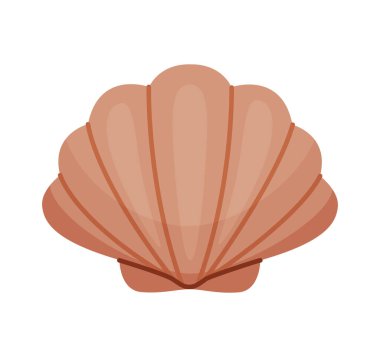 Deniz kabuğu kabuğu. El çizimi modaya uygun düz stil, şeffaf bir deniz kabuğu üzerinde izole edilmiş bir simge. Vektör illüstrasyonu