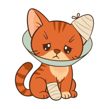 Üzücü turuncu tekir kedisi koni yakalı, bandajlı pençeli ve kulaklı. Chibi düz stil temiz, basit tasarım. Veteriner ve çocuk içeriği, hayvan bakımı blogları, tebrik kartları, çıkartmalar, tişörtler, posterler.
