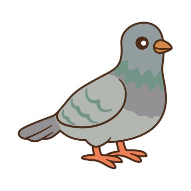 Komik Gri Güvercin. El yapımı düz dizayn güvercin kuşu. Çocuk kitapları, hikaye çizimleri, tebrik kartları, çıkartmalar, tişörtler, kupalar ve şehir kuşu posterleri için. Vektör İllüstrasyonu.