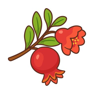 Meyveli ve parlak kırmızı çiçekli nar dalı. Elle çizilmiş düz stil ve kalın hatlar. Yiyecek ambalajı, sağlıklı yiyecekler, yemek tarifi kitapları, beslenme blogları, ürün etiketleri, menü, mevsimsel tasarımlar için. 