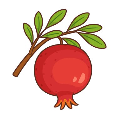 Taze yeşil yapraklı bir dalda sallanan olgun nar. El çizimi düz stil. Yiyecek ambalajı, sağlıklı yiyecekler, yemek tarifi kitapları, beslenme blogları, ürün etiketleri, menü, mevsimlik tasarımlar için. Vektör