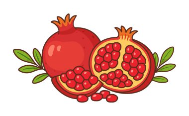 Nar meyvesi, bütün ve yeşil yapraklarla yarıya bölünmüş. El çizimi düz stil. Gıda ambalajı, sağlıklı gıda promosyonları, tarif kitapları, beslenme blogları, ürün etiketleri, menü ve mevsimlik tasarımlar için.