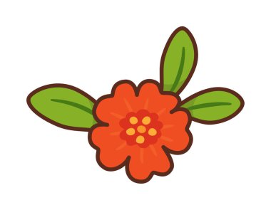 Yeşil yapraklı parlak kırmızı nar çiçeği. Elle çizilmiş düz stil ve kalın hatlar. Yiyecek ambalajı, sağlıklı yiyecekler, organik markalar, beslenme blogları, etiketler, mevsimlik tasarımlar, tebrik kartları için