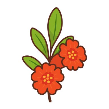 Parlak kırmızı çiçekli nar dalı. Elle çizilmiş düz stil ve kalın hatlar. Yiyecek ambalajı, sağlıklı yiyecekler, organik markalar, beslenme blogları, etiketler, mevsimlik tasarımlar, tebrik kartları için