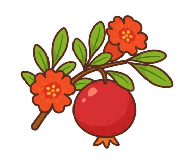 Meyveli ve parlak kırmızı çiçekli nar dalı. Elle çizilmiş düz stil ve kalın hatlar. Yiyecek ambalajı, sağlıklı yiyecekler, yemek tarifi kitapları, beslenme blogları, ürün etiketleri, menü, mevsimsel tasarımlar için. 