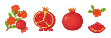 Nar seti, tohumlu, dallı, yeşil yapraklı, narlı, yarım meyve. Düz stil, izole ikonlar. Dijital ve yazdırma projeleri, ambalaj, tebrik kartları, botanik posterleri