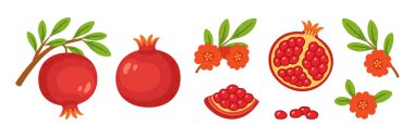 Nar seti, tohumlu, dallı, yeşil yapraklı, narlı, yarım meyve. Düz stil, izole ikonlar. Dijital ve yazdırma projeleri, ambalaj, tebrik kartları, botanik posterleri