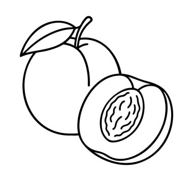 Taze şeftali ikonu. Siyah ve beyaz, temiz çizgi sanat tarzı. Web tasarımı, logo, dövme ve izole edilmiş taze şeftali taşıyıcı ikonu. Vektör illüstrasyonu