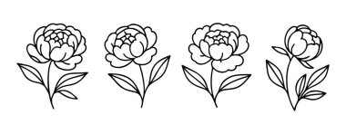 Şakayık siyah beyaz simgeler seti, temiz çizgi sanatı, karalama tarzı. Logo, dövme, uygulama, boyama kitabı, web tasarımı, bilgi grafikleri, afiş, poster ve daha fazlası için ideal. Vektör illüstrasyonu