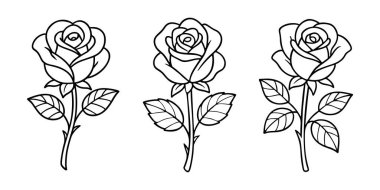 Güller siyah ve beyaz simgeler, temiz çizgi sanatı, karalama tarzı. Aşk amblemi. Logo, dövme, uygulama, boyama kitabı, web tasarımı, bilgi grafikleri, afiş, poster ve daha fazlası için ideal. Vektör illüstrasyonu