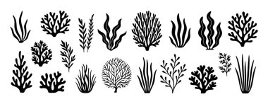 Yosun siyah ve beyaz simgesi temiz çizgi sanatı, karalama tarzı. Deniz bitkileri, yosun. Logo, dövme, uygulama, boyama kitabı, web tasarımı, bilgi grafikleri, afiş, poster ve daha fazlası için ideal. Vektör illüstrasyonu