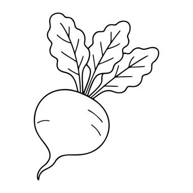 Pancar kökü siyah beyaz ikon temiz çizgi sanatı, karalama tarzı. Logo, dövme, uygulama, boyama kitabı, web tasarımı, bilgi grafikleri, afiş, poster ve daha fazlası için ideal. Vektör illüstrasyonu