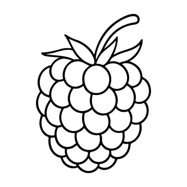 Ahududu ana hatları siyah beyaz ikon temiz çizgi sanatı, karalama tarzı. Logo, dövme, uygulama, boyama kitabı, web tasarımı, bilgi grafikleri, afiş, poster ve daha fazlası için ideal. Vektör illüstrasyonu