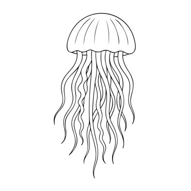 Denizanası ana hatları simge çizgisi, siyah ve beyaz karalama tarzı. Logo, dövme, uygulama, boyama kitabı, web tasarımı, bilgi grafikleri, afiş, poster ve daha fazlası için ideal. Vektör illüstrasyonu