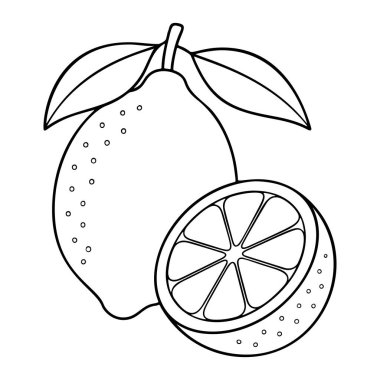 Lemon Doodle style. Hand drawn black and white isolated fresh lemon icon. Coloring page, art therapy, line art, logotype. Vector illustration