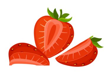 wo red ripe whole strawberries. bright Red berry. Hand drawn summer strawberry trendy flat style isolated on transparent background. for stickers, menus, apps, posters, design. Vector illustration.