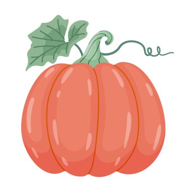 Sonbahar balkabağı. El çizimi moda düz stil şeffaf arka planda izole. Cadılar Bayramı için kırmızı balkabağı ya da Şükran Günü çıkartmaları, menüler, uygulamalar, posterler, tasarım. Vektör illüstrasyonu