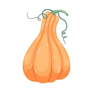 Sonbahar balkabağı. El çizimi moda düz stil şeffaf arka planda izole. Cadılar Bayramı ya da Şükran Günü çıkartmaları, menüler, uygulamalar, posterler, tasarım için. Vektör illüstrasyonu