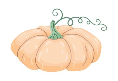 Sonbahar balkabağı. El çizimi moda düz stil şeffaf arka planda izole. Cadılar Bayramı ya da Şükran Günü çıkartmaları, menüler, uygulamalar, posterler, tasarım için. Vektör illüstrasyonu