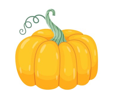 Sonbahar balkabağı. El çizimi moda düz stil şeffaf arka planda izole. Cadılar Bayramı için sarı balkabağı ya da Şükran Günü çıkartmaları, menüler, uygulamalar, posterler, tasarım. Vektör illüstrasyonu