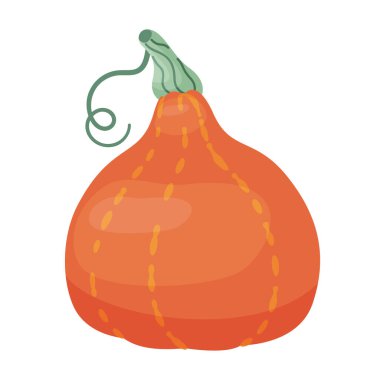 Sonbahar kabağı. Hubbard Kabağı. El yapımı moda düz stil izole edilmiş. Cadılar Bayramı ya da Şükran Günü çıkartmaları, menüler, uygulamalar, posterler için. Kırmızı kuri kabağı, Hokkaido kabağı. Vektör illüstrasyonu