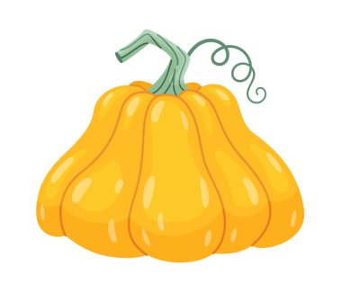 Sonbahar balkabağı. El çizimi moda düz stil şeffaf arka planda izole. Cadılar Bayramı ya da Şükran Günü çıkartmaları, menüler, uygulamalar, posterler, tasarım için. Vektör illüstrasyonu