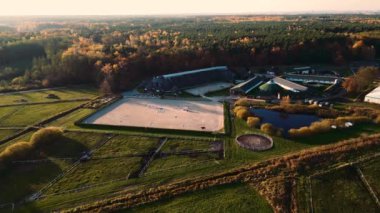 Bir grup safkan at ahırın yanındaki otlakta yürüyor. Uzun bir akşam gölgesi. Çiftlikte ya da çiftlikte güzel hayvanlar. İHA 'dan hava üstü görüntüsü