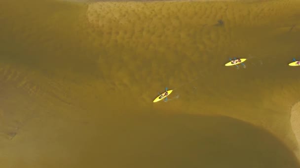Рафтинг Реке Вид Байдарки Высоты Команда Исследователей Плавающих Реке — стоковое видео