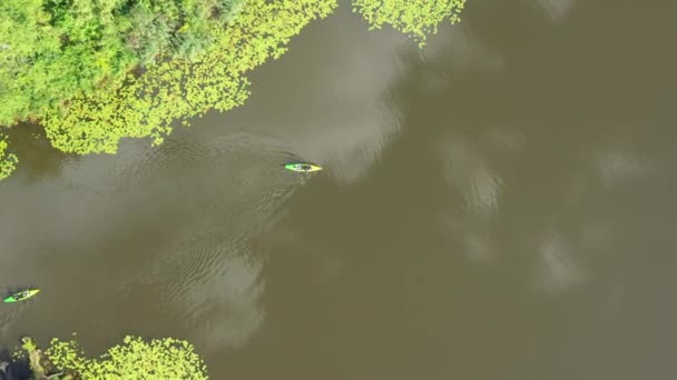 Vista Aérea Turistas Canoa Kayak Los Bosques Bosque Parque Wilanow — Vídeo de stock
