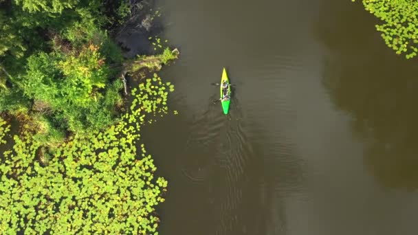 Повітряний Вид Туристів Каное Або Каяк Лісах Ліс Парку Віланові — стокове відео